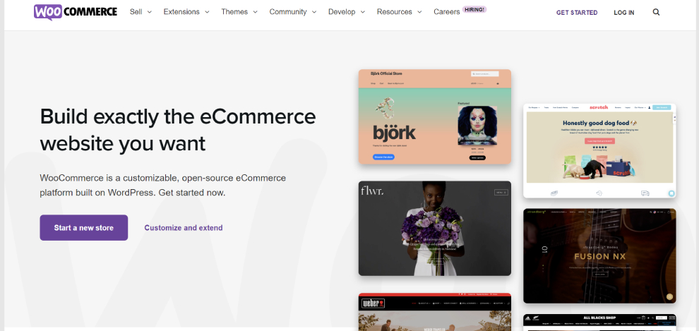 Shopify vs. WooCommerce: Funktionen, Tools und eCommerce-Templates